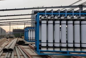 الجبهة المتحدة