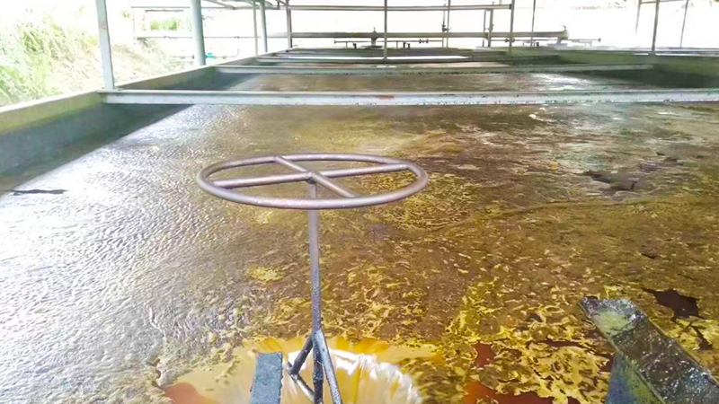 معالجة المياه