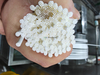 Dupont Inge Dizzer XL 0.6W 0.7W 0.9W Ultrafiltration (UF) Membrane and Modules UF Manufaction in China Retrofit 