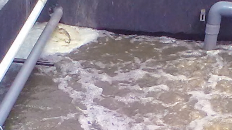 معالجة المياه