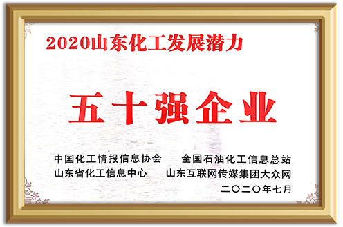 أفضل 50 مؤسسة في عام 2020