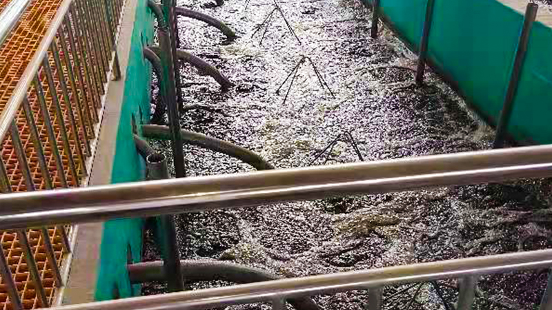 معالجة المياه