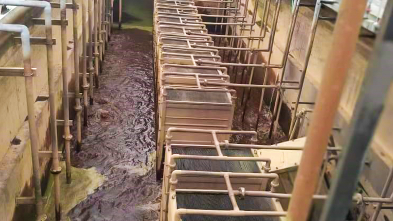 معالجة المياه