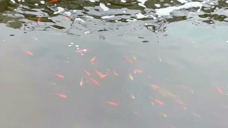 معالجة المياه