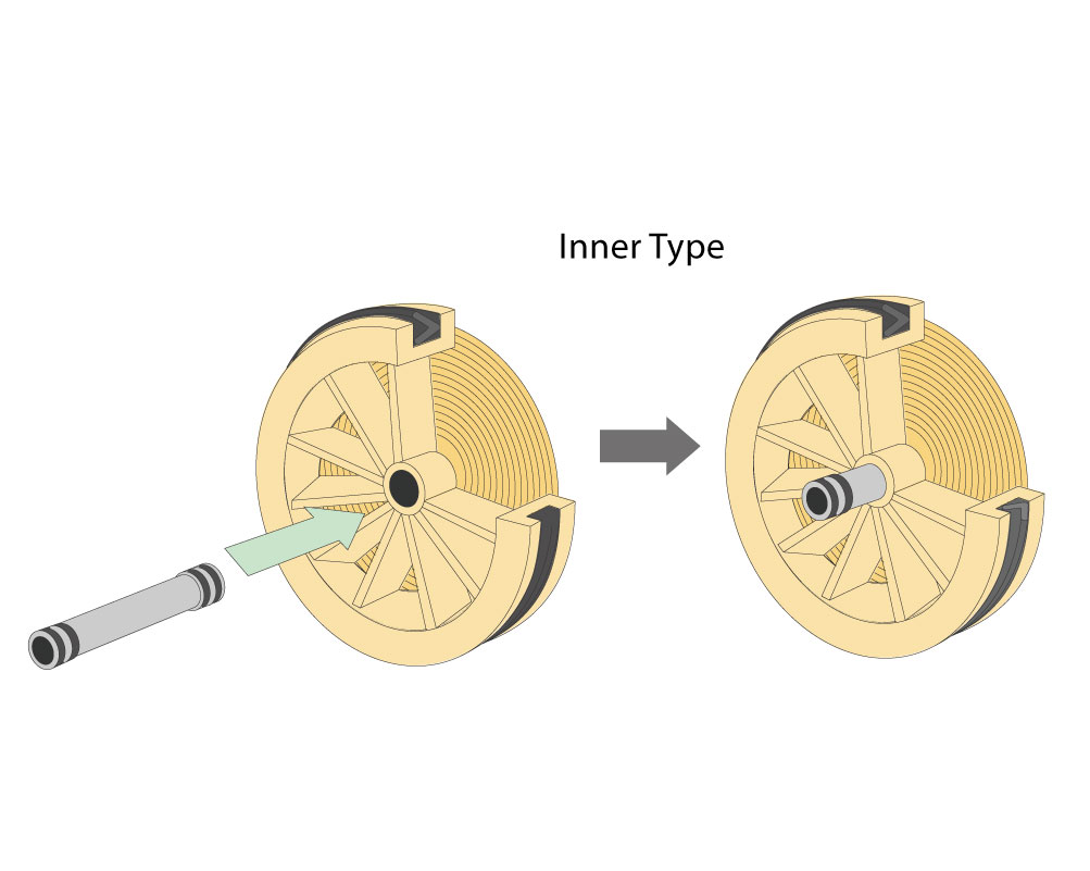 النوع الداخلي